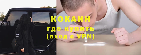 крисы Белоозёрский