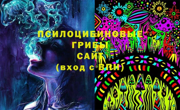 крисы Белоозёрский