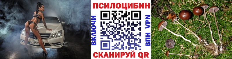 Галлюциногенные грибы GOLDEN TEACHER  Бутурлиновка 